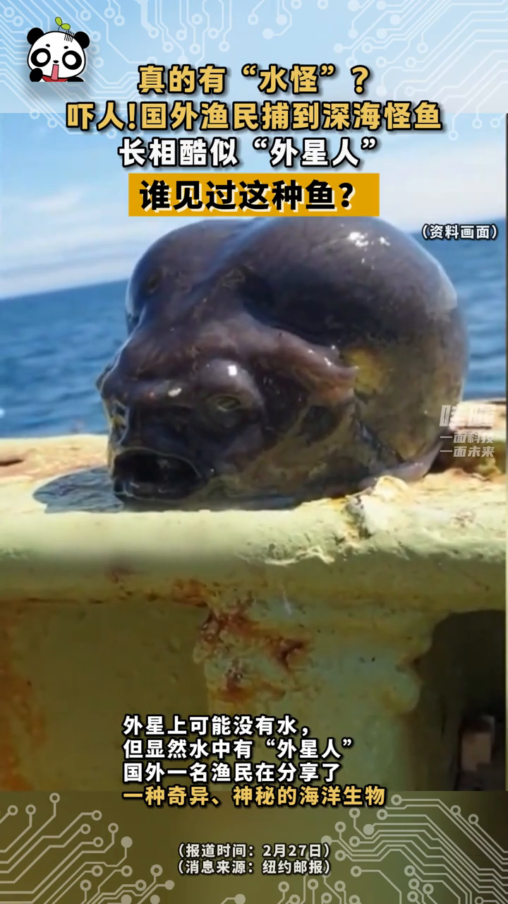 真的有“水怪”?国外渔民捕到深海怪鱼 长相酷似“外星人”
