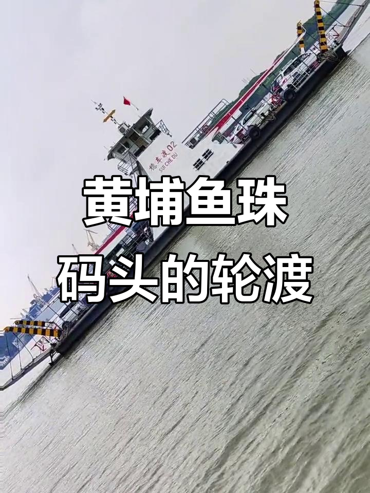 广州黄埔鱼珠码头轮渡体验,轻松往返珠江两岸
