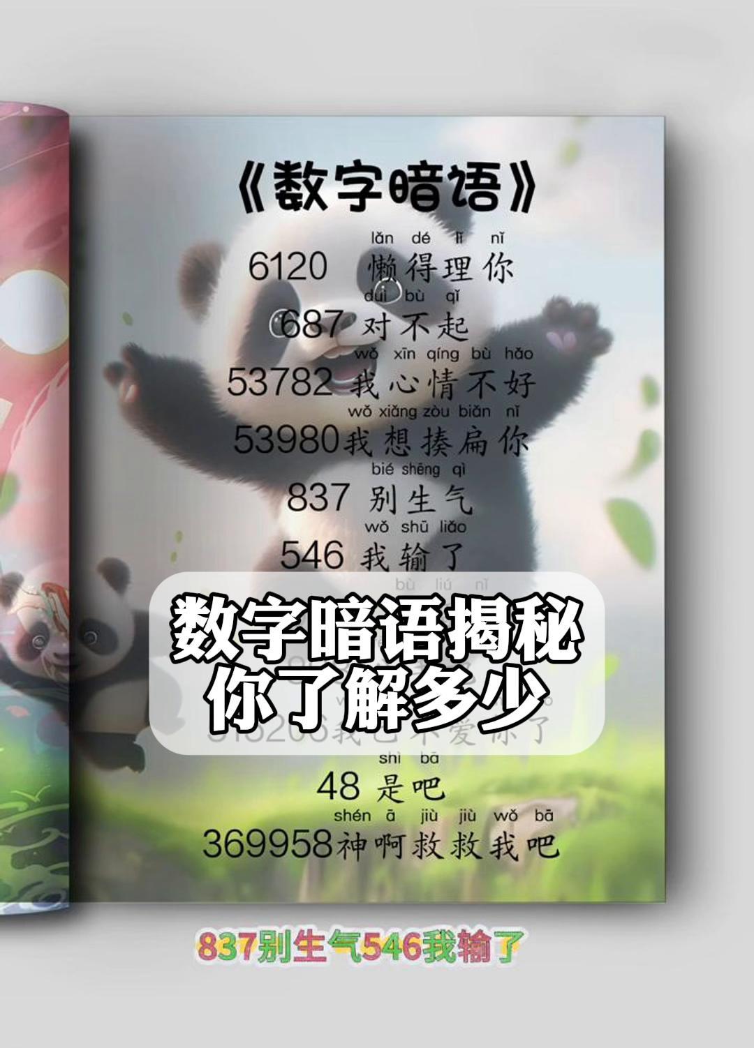 数字暗语揭秘,你了解多少