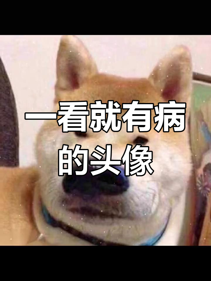 你的头像一看就让人担心