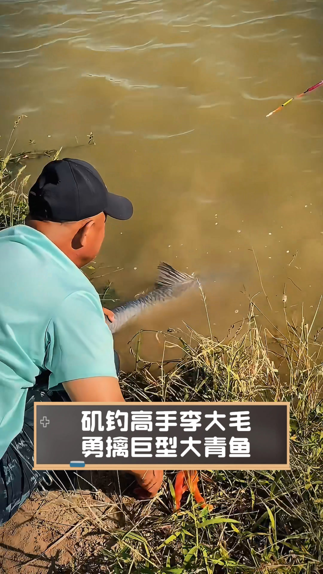 矶钓高手李大毛,勇擒巨型大青鱼