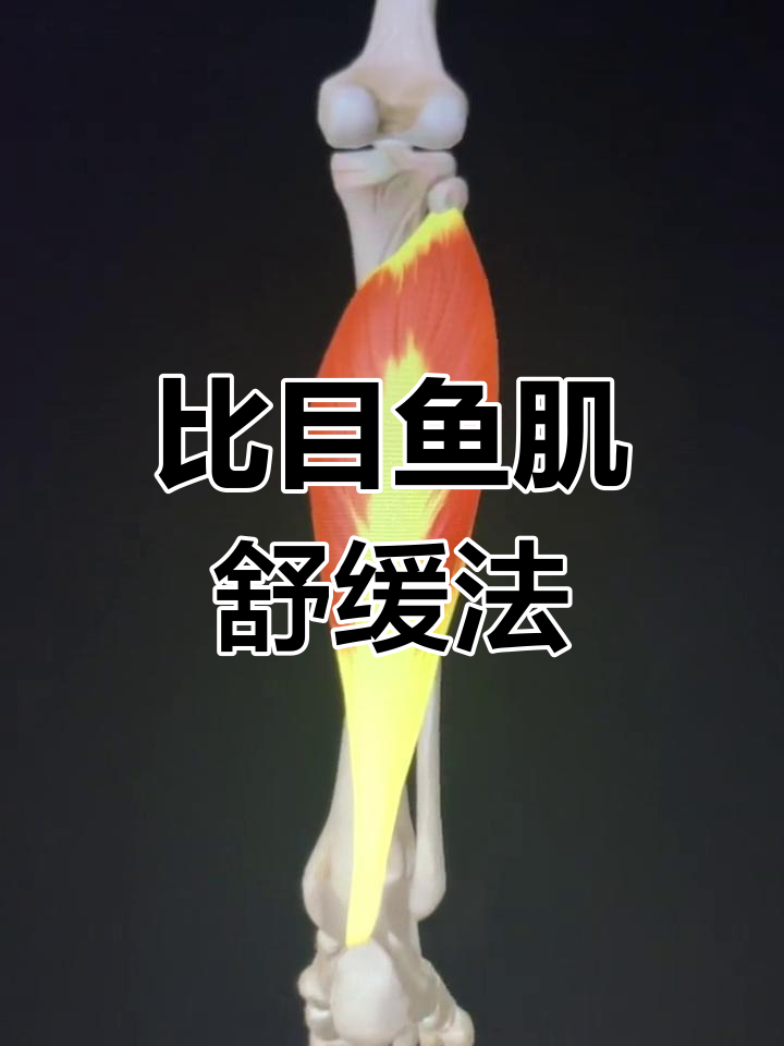 长时间站立后,比目鱼肌不适?试试这个方法立刻缓解!