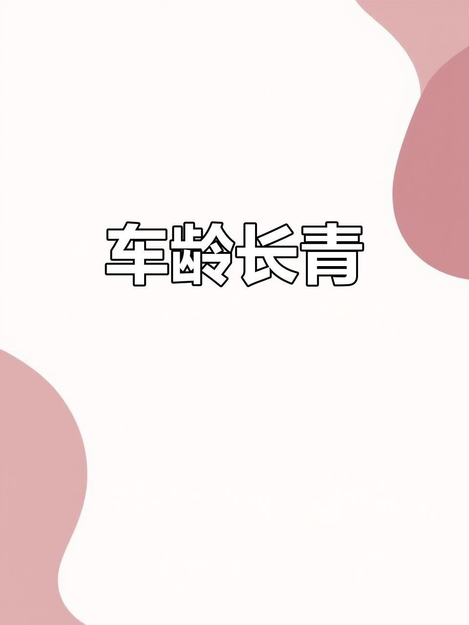 十多年依旧如新,浪迪面包车耐用得让人惊叹!