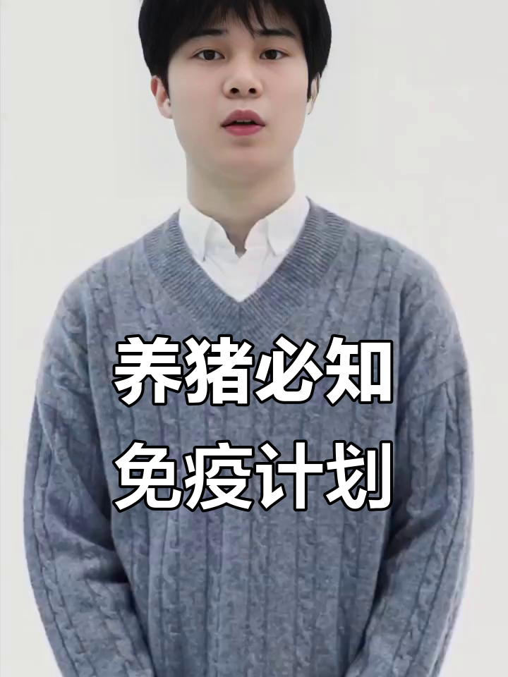 猪一生免疫程序全解析,关键疫苗接种时间表