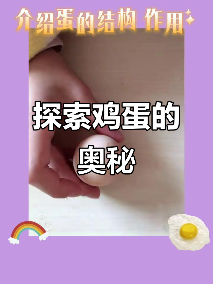揭秘鸡蛋内部结构,原来是这样!