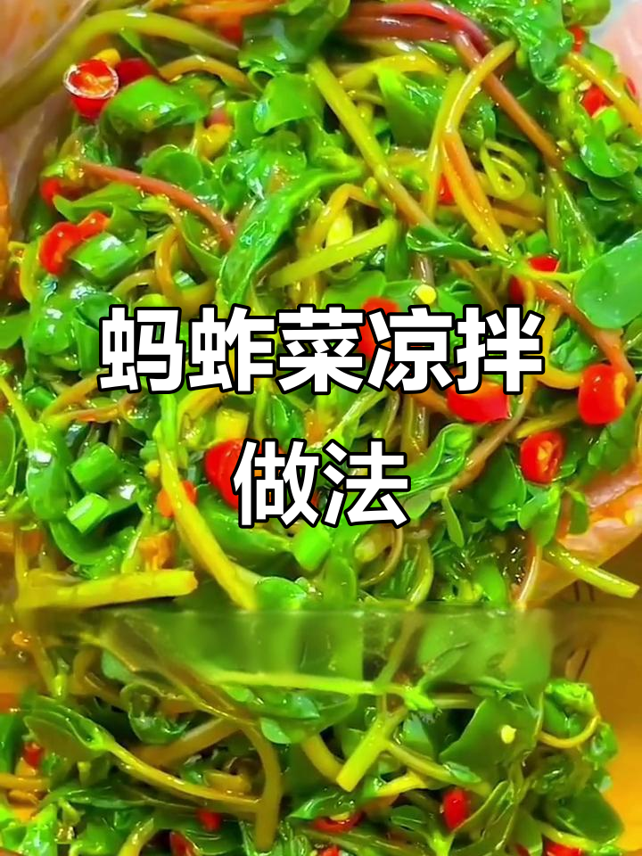 马齿苋拌菜,天然抗生素助你消炎
