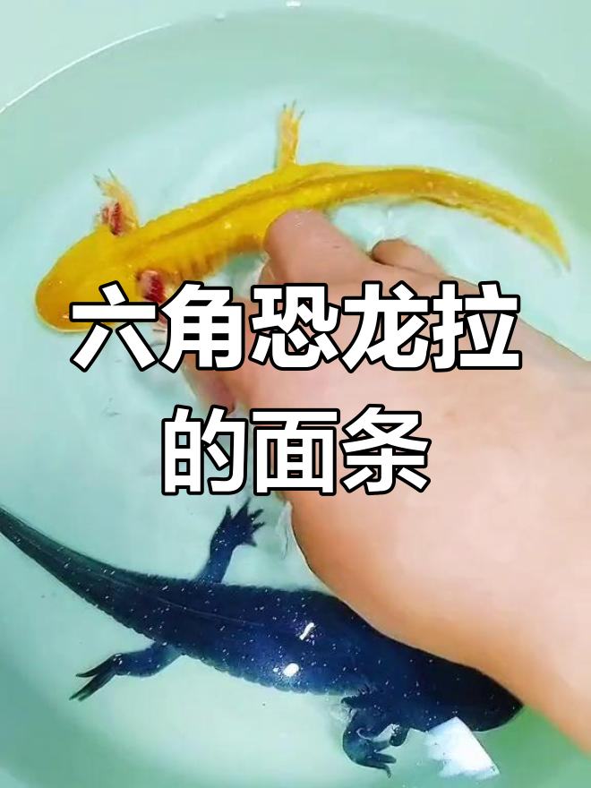 六角恐龙拉的“面条”是什么?难道是粑粑?