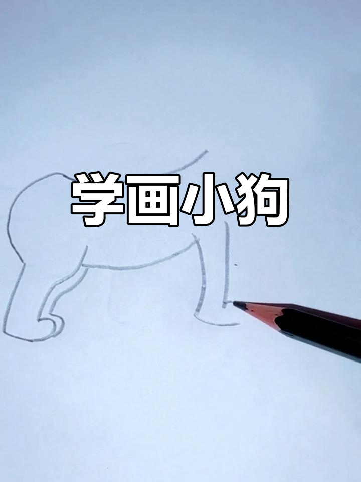 中华田园犬简笔画教程