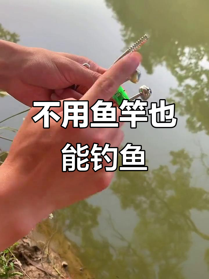 不需鱼竿,弹簧地插轻松钓黑黄辣丁
