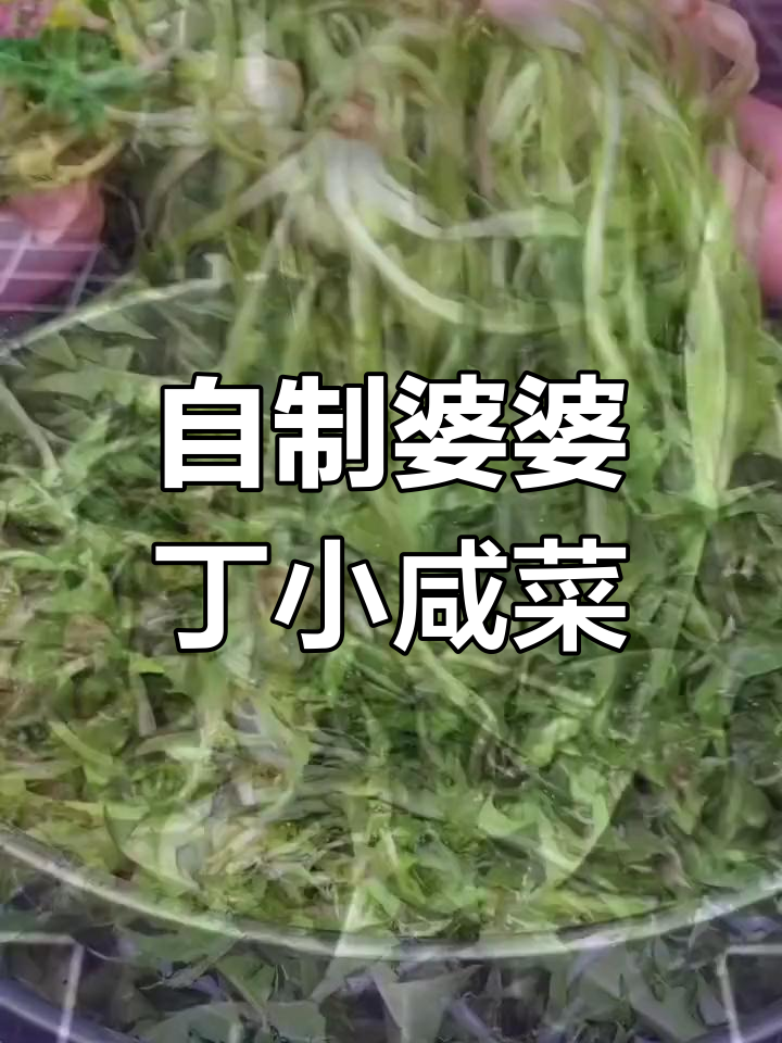 野菜腌咸菜的独特做法