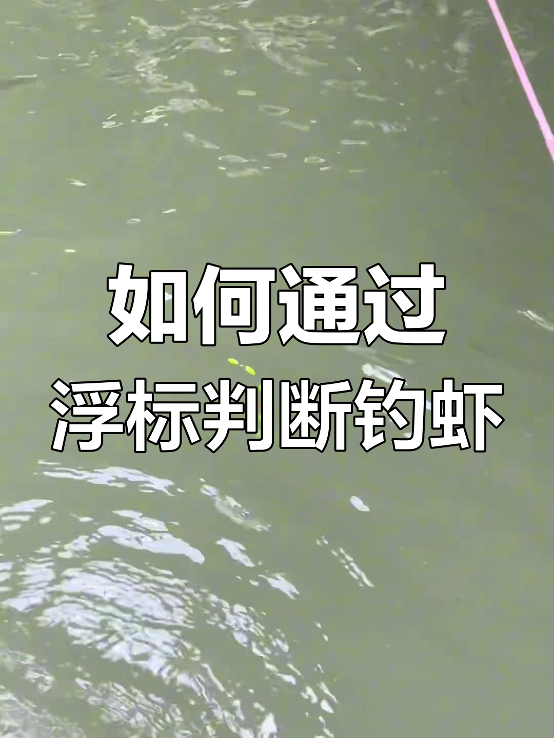 钓虾浮标变化分析,如何判断是否咬钩