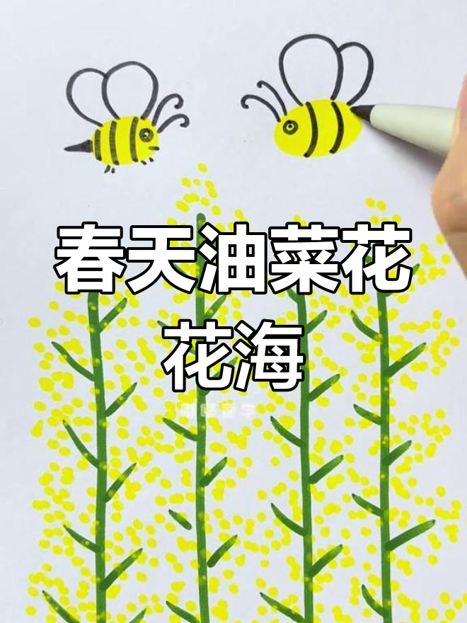 油菜花盛开,一起画春天的美丽花朵