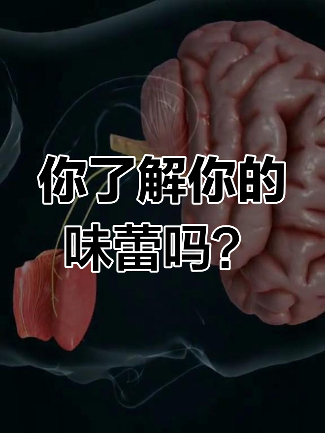 味觉的奥秘:舌头上的“味道工厂”