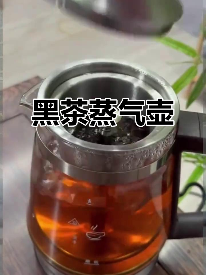 煮茶壶,黑茶专用,蒸汽喷淋,养生泡茶更完美