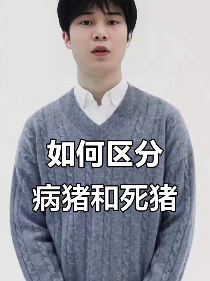 病猪肉与死猪肉的区别,如何辨别选购