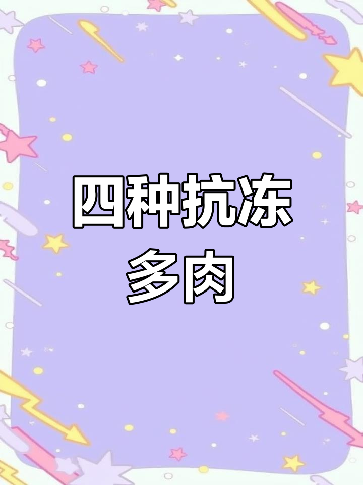 耐寒多肉植物推荐,零下10度也能正常生长