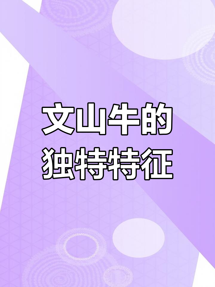 了解文山牛:高峰驼峰肉牛品种揭秘