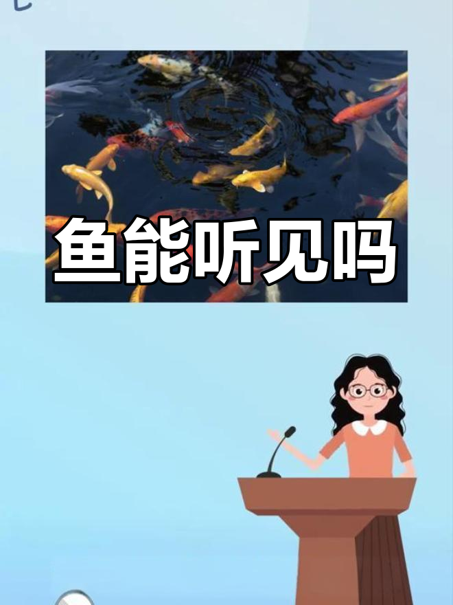 鱼类如何听到声音?