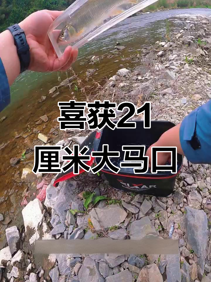 溪流路亚新纪录，21厘米大马口惊艳登场！