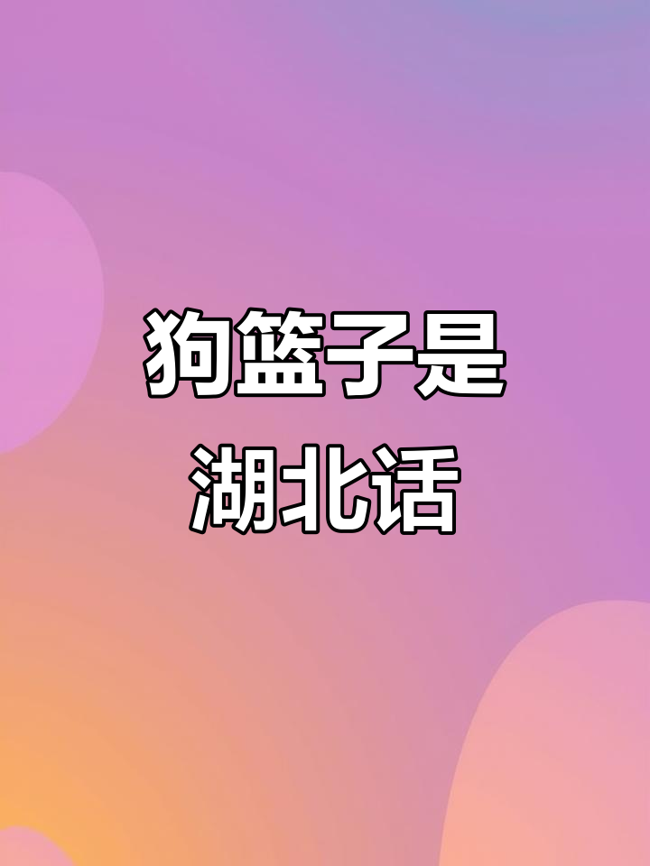 湖北方言“狗篮子”的趣味解读,原来是装狗的工具!