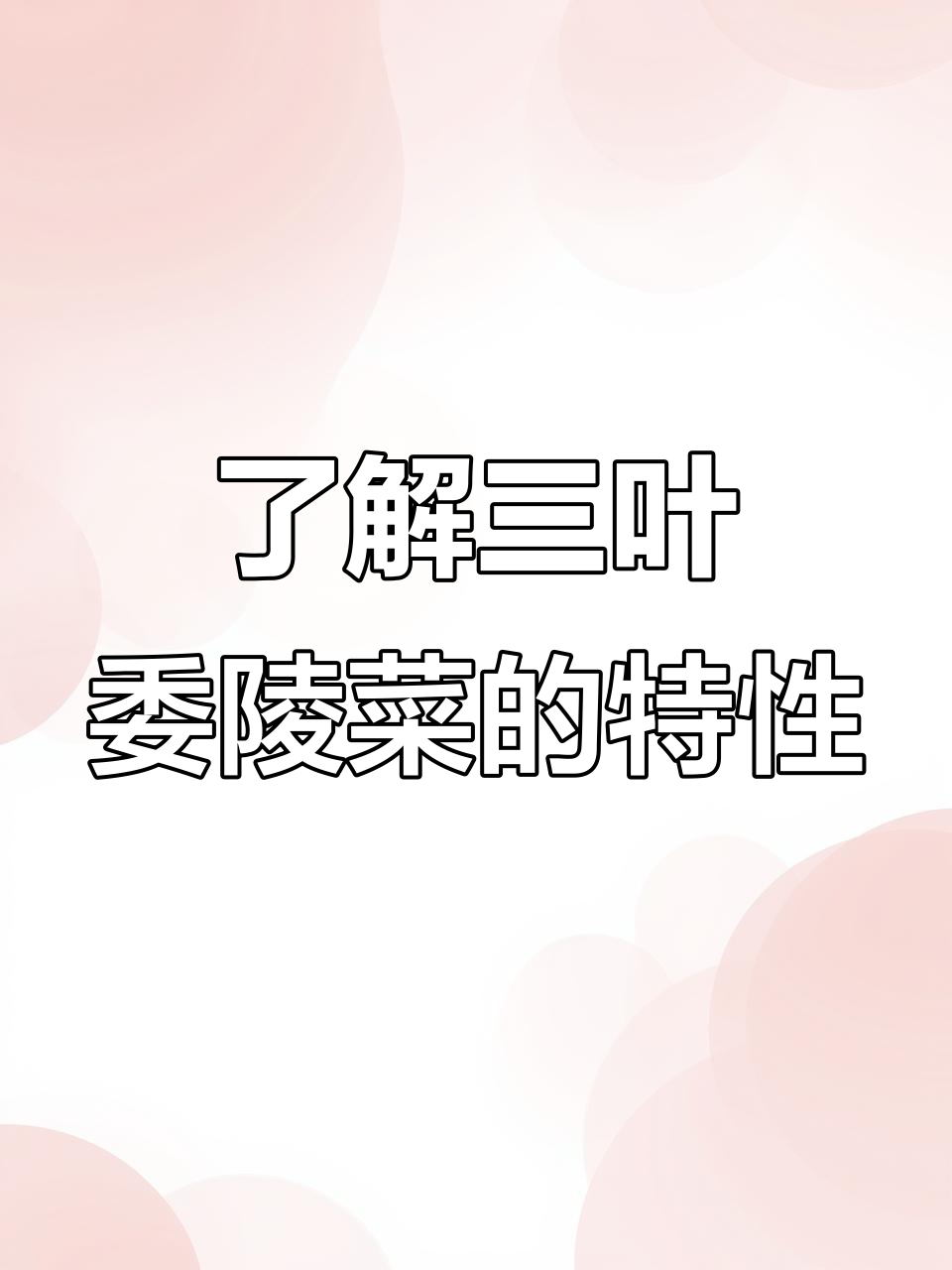 三叶委陵菜:别名三爪金,药用与观赏两不误