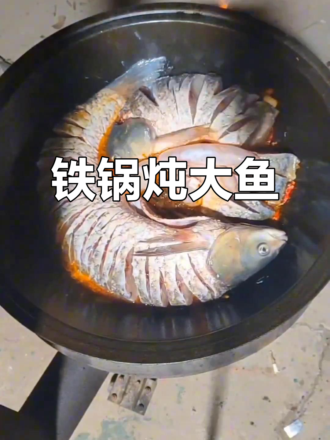 铁锅炖大草鱼,鲜香十足,鱼肉嫩滑无比
