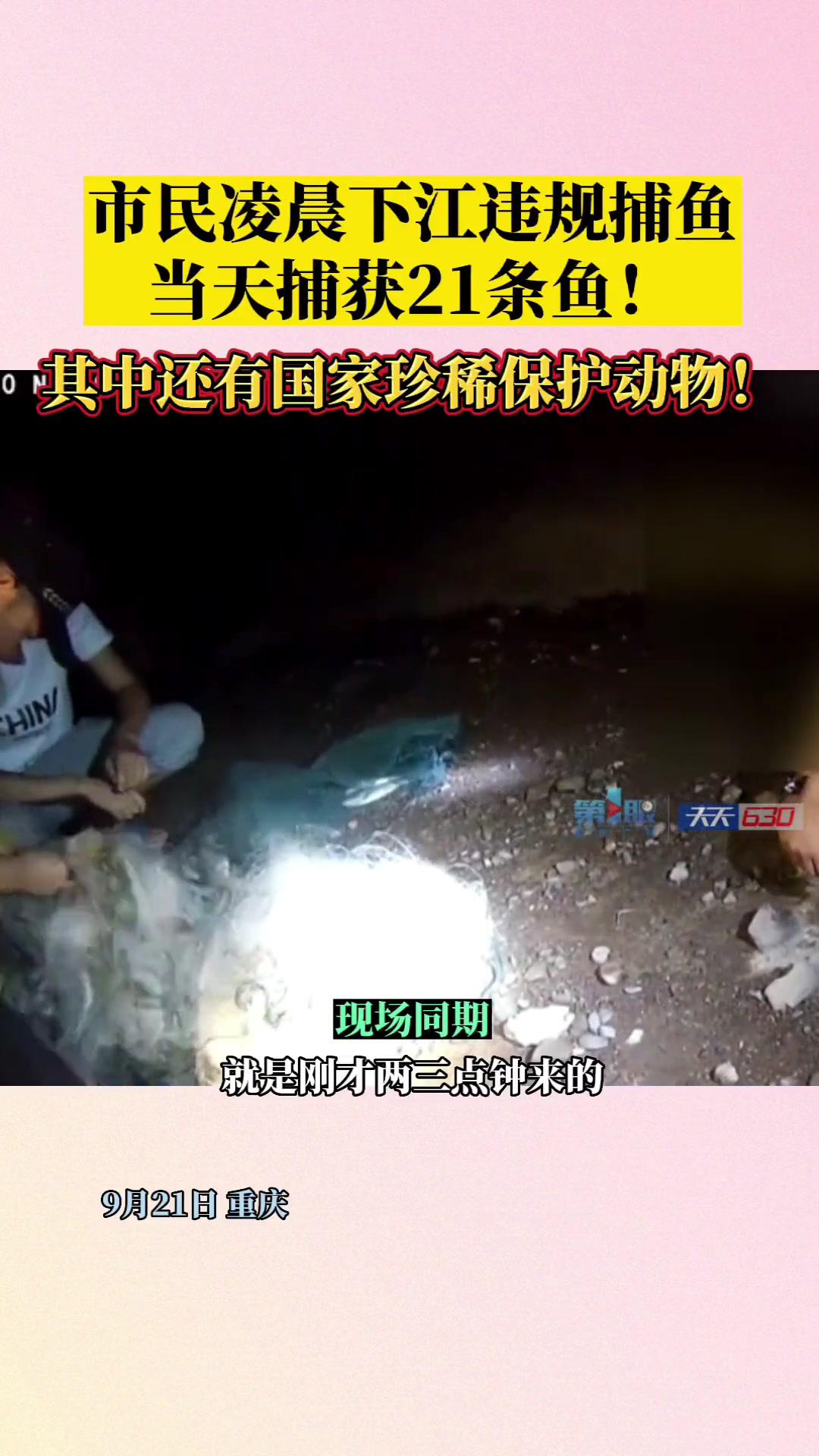 9月21日,重庆,市民凌晨下江违规捕鱼,当天捕获21条鱼,其中还有国家珍稀二级保护动物!社