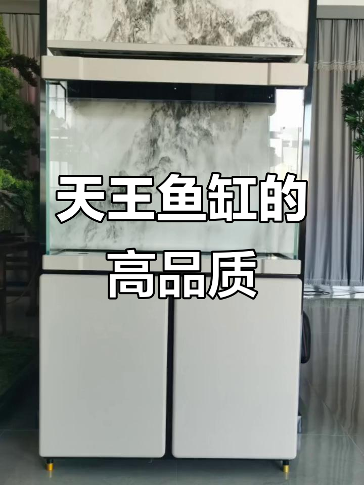 鱼缸里的秘密,天王品质一眼识破