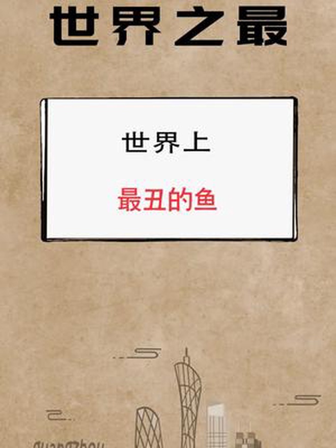 你见过最丑的鱼长啥样?