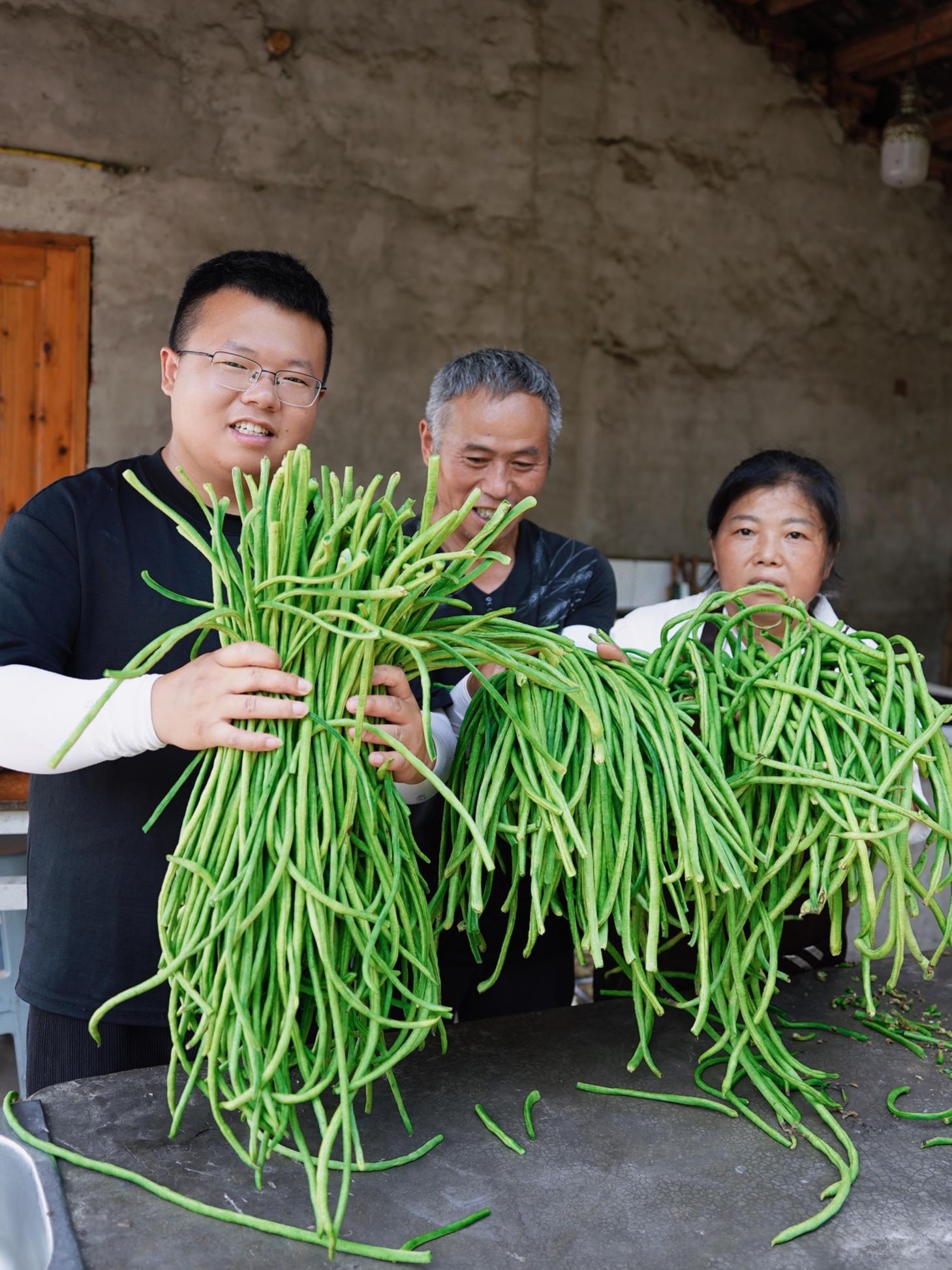 老爸种的豇豆今年高产,吃不完的拿来做泡菜,这样能存放好几年!农村生活 我的乡村生活