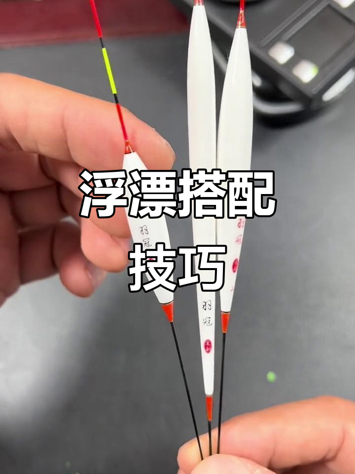 鱼情与浮漂选择,你知道如何搭配吗?
