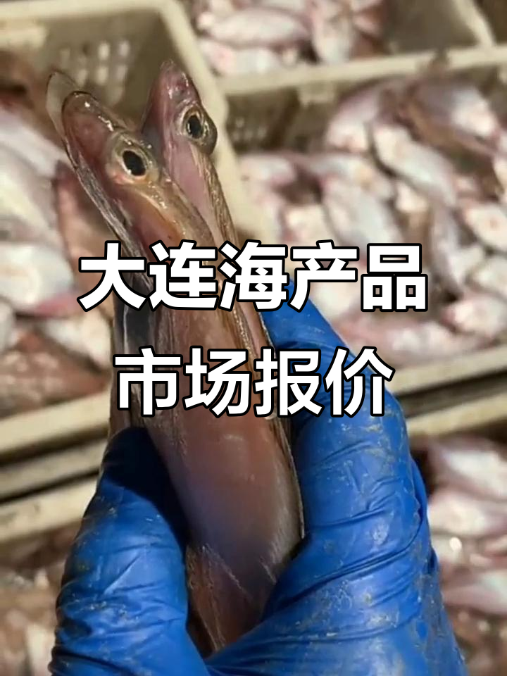 12月大连辽渔市场海鲜行情,道鱼鳝鱼最新价