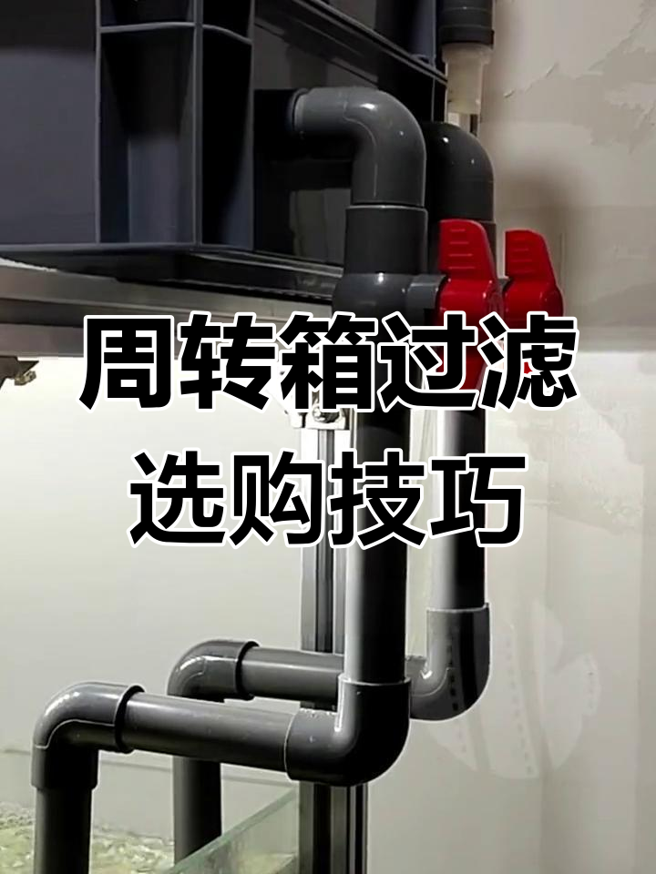 鱼缸周转箱过滤器选择指南:如何根据水体大小挑选合适型号