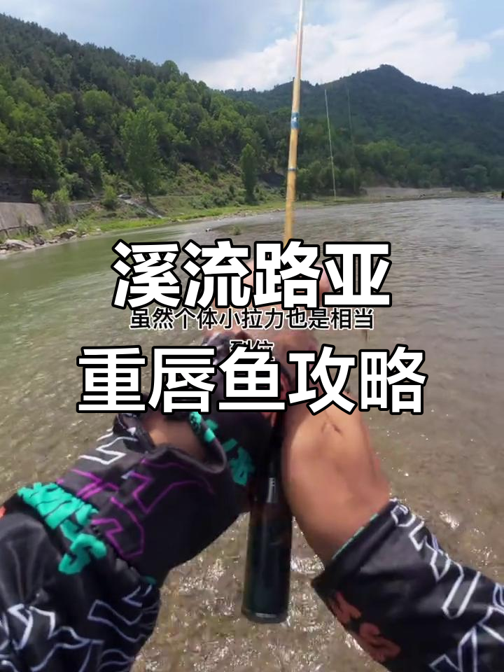 路亚虫春鱼技巧大揭秘,如何用小饵逗钓?
