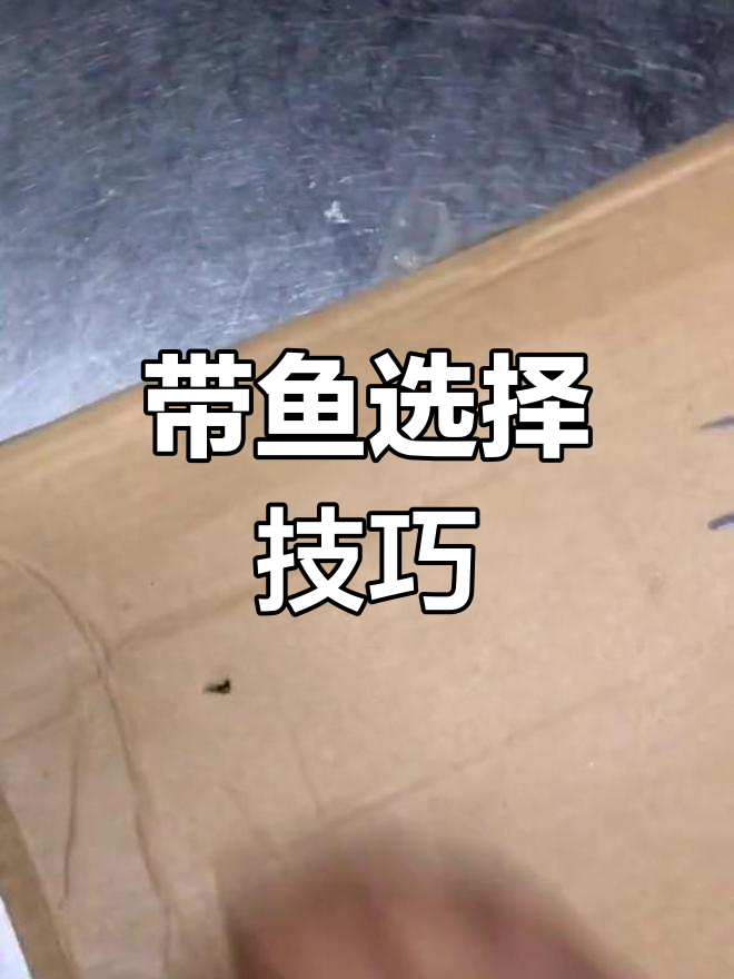 如何挑选带鱼?国产与进口的区别解析