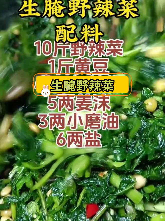 一年不坏的生腌野辣菜,清脆开胃必备