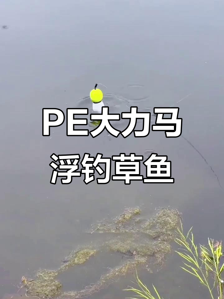 夏季浮钓草鱼新装备,PE线组助力远投精准