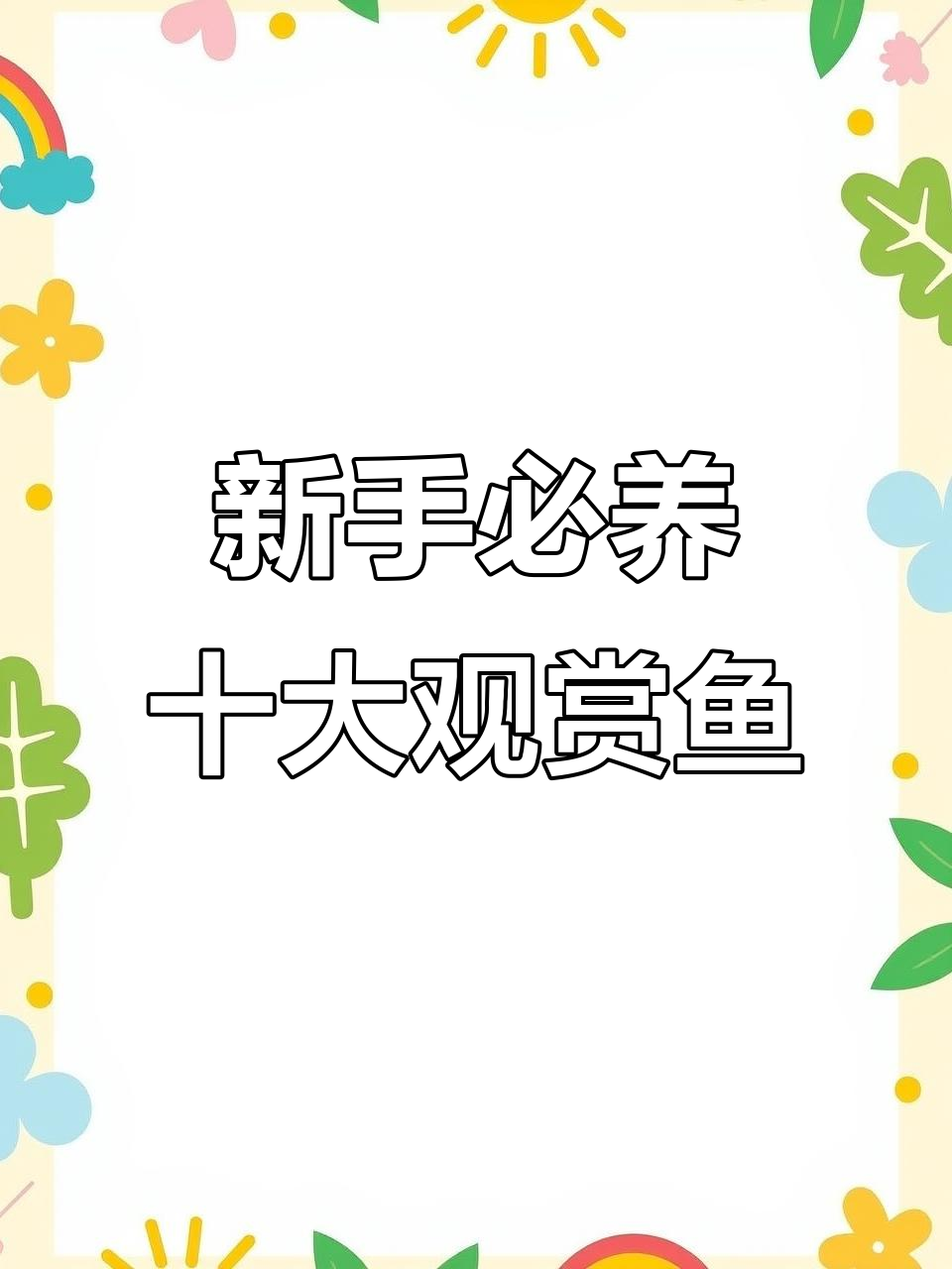 10种最适合新手养的观赏鱼，轻松上手不费力