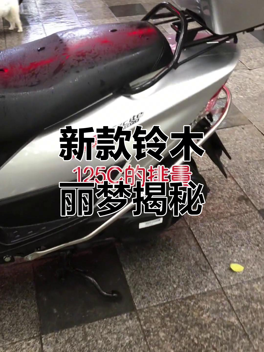 铃木丽梦新款车型曝光,价格超值!