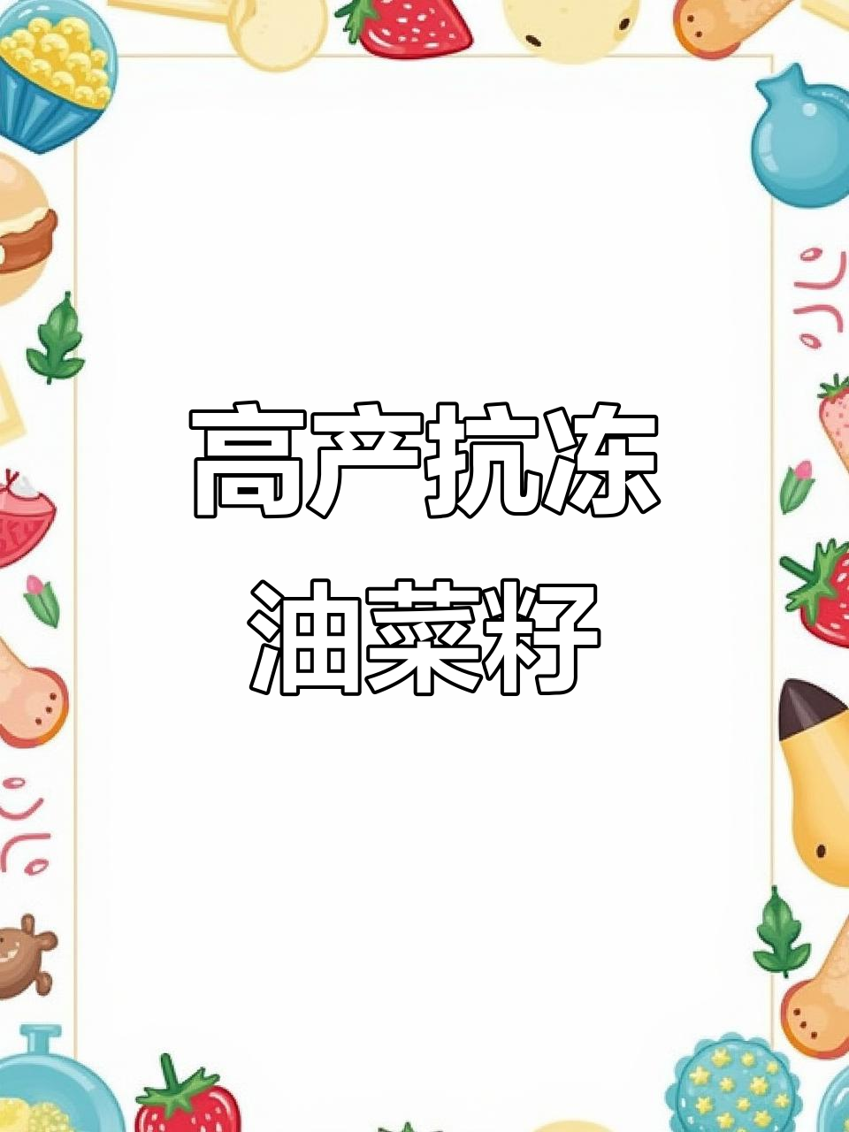 九号油菜籽抗冻高产,连续三年表现优异