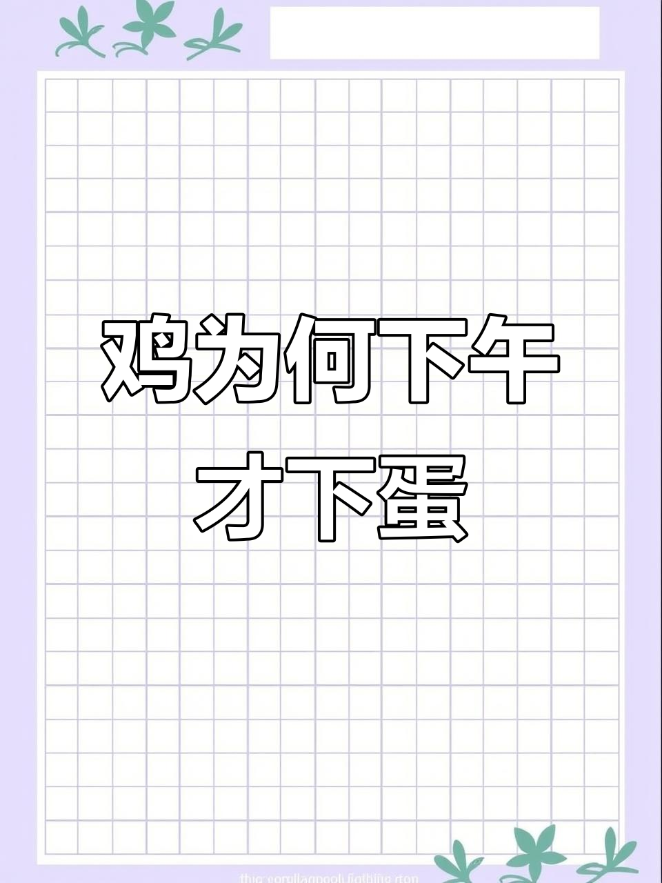 为什么鸡下午下蛋?原因竟与饲料有关