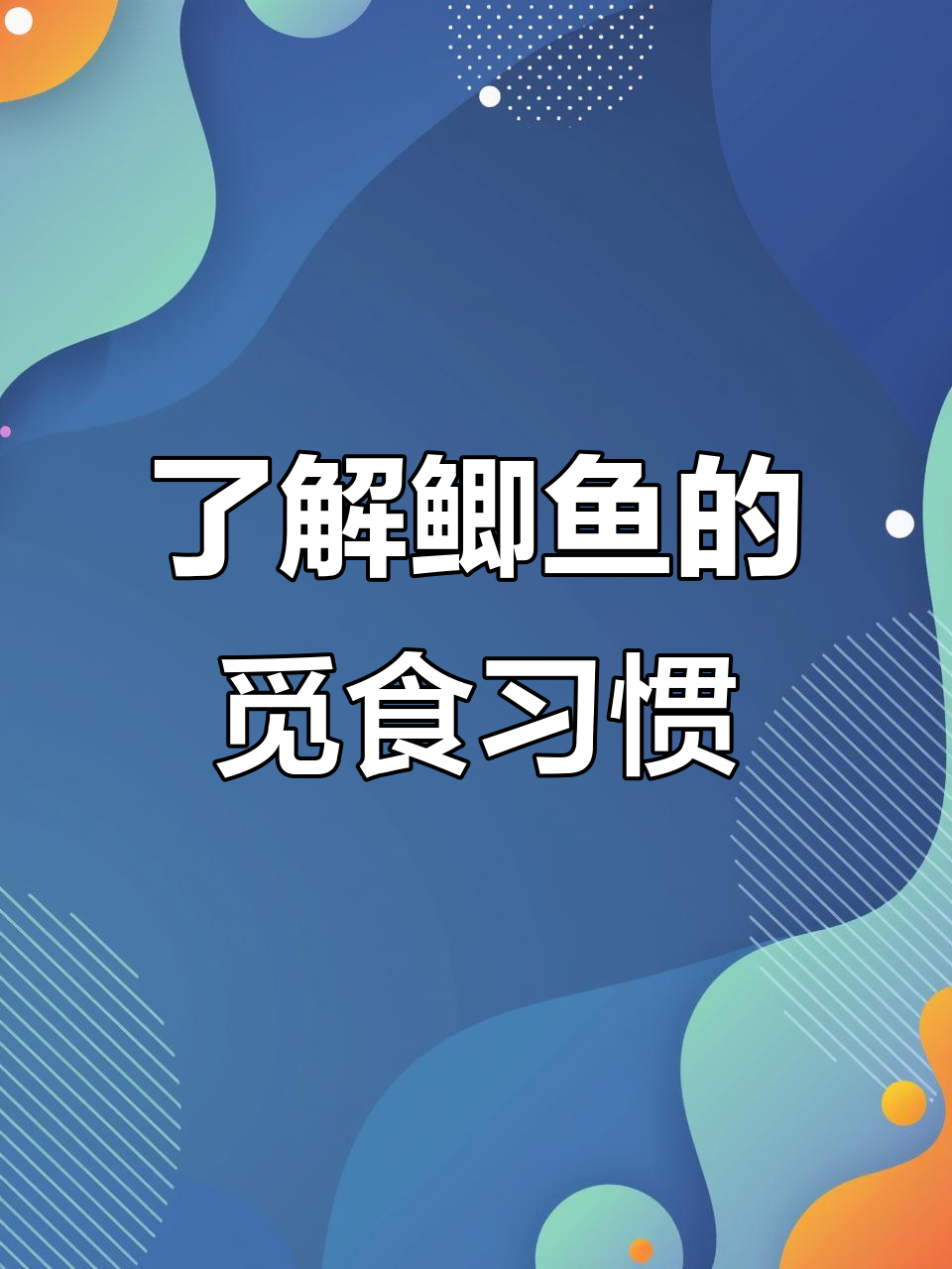 鲫鱼活动规律揭秘,钓鱼技巧全掌握