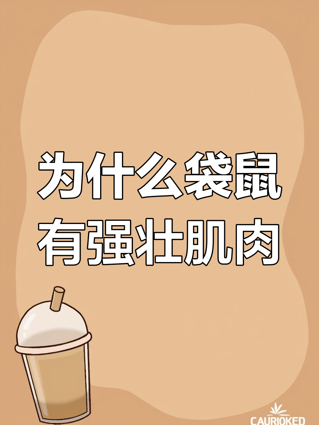 袋鼠为何吃素却拥有发达肌肉?揭秘雄性袋鼠的秘密
