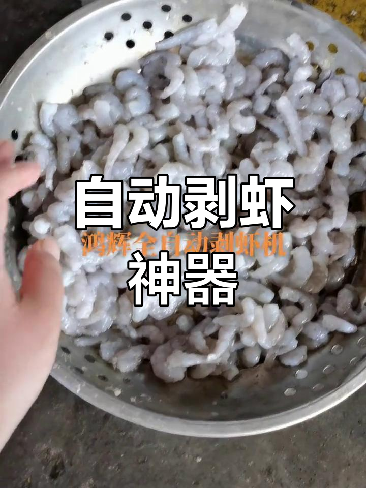 全自动剥虾机,轻松去壳,效率惊人!