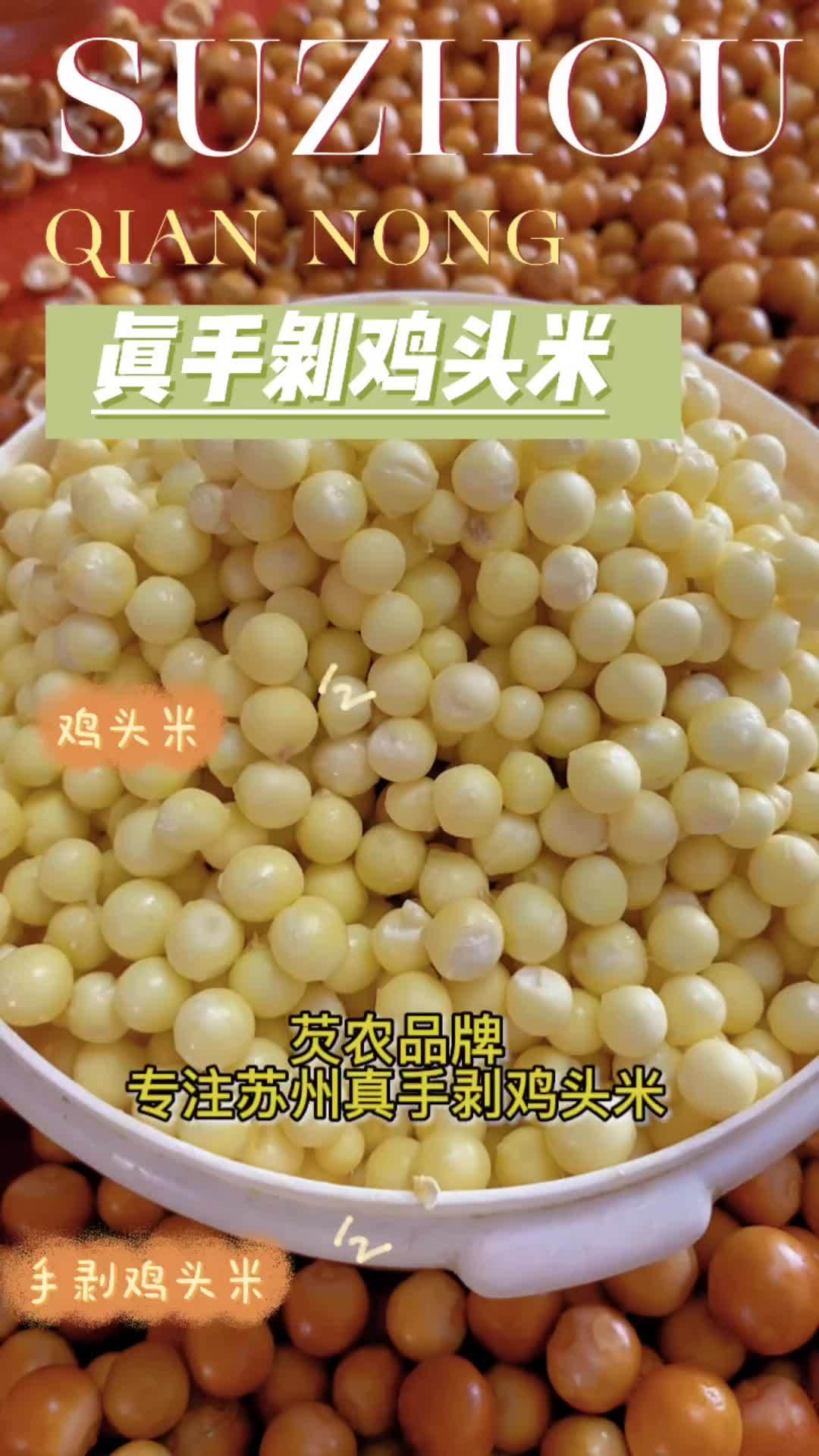 苏州鸡头米标准剥法,两掐三瓣,才能得一粒鸡头米,一个熟练工,一天工作12个小时才能剥5-6