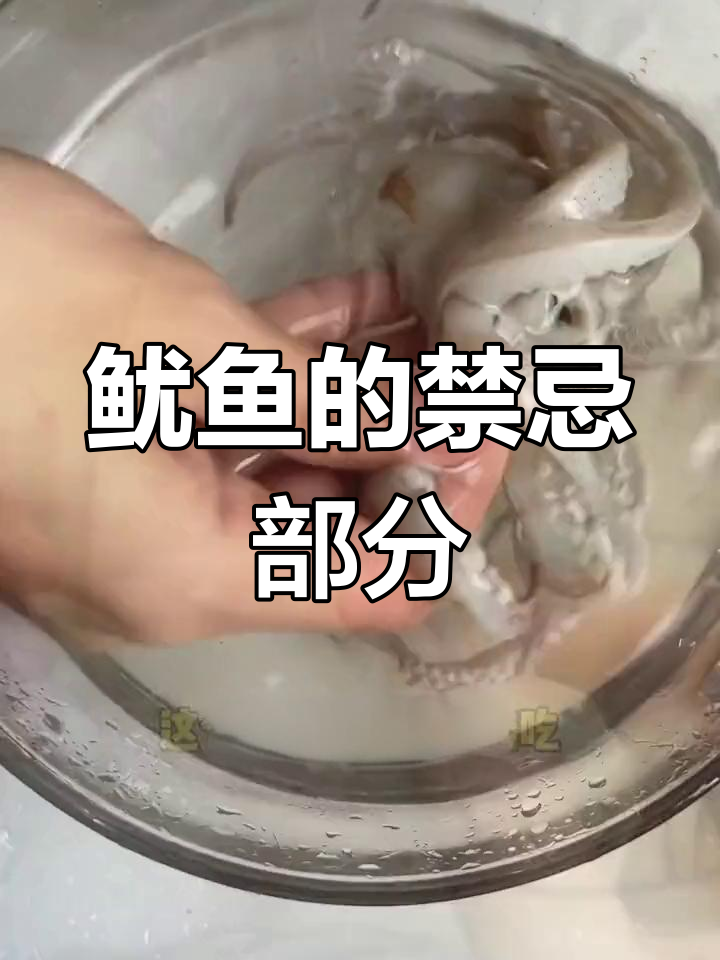 鱿鱼哪些部位不能食用?