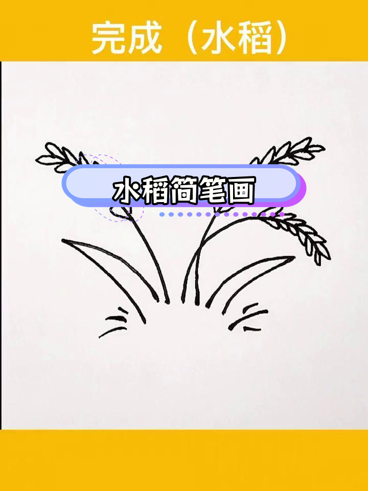 袁隆平的水稻画法教程