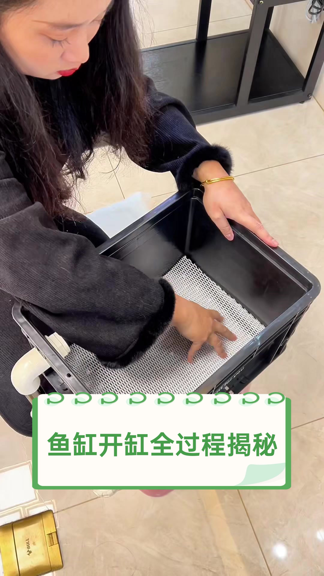 鱼缸开缸全过程揭秘