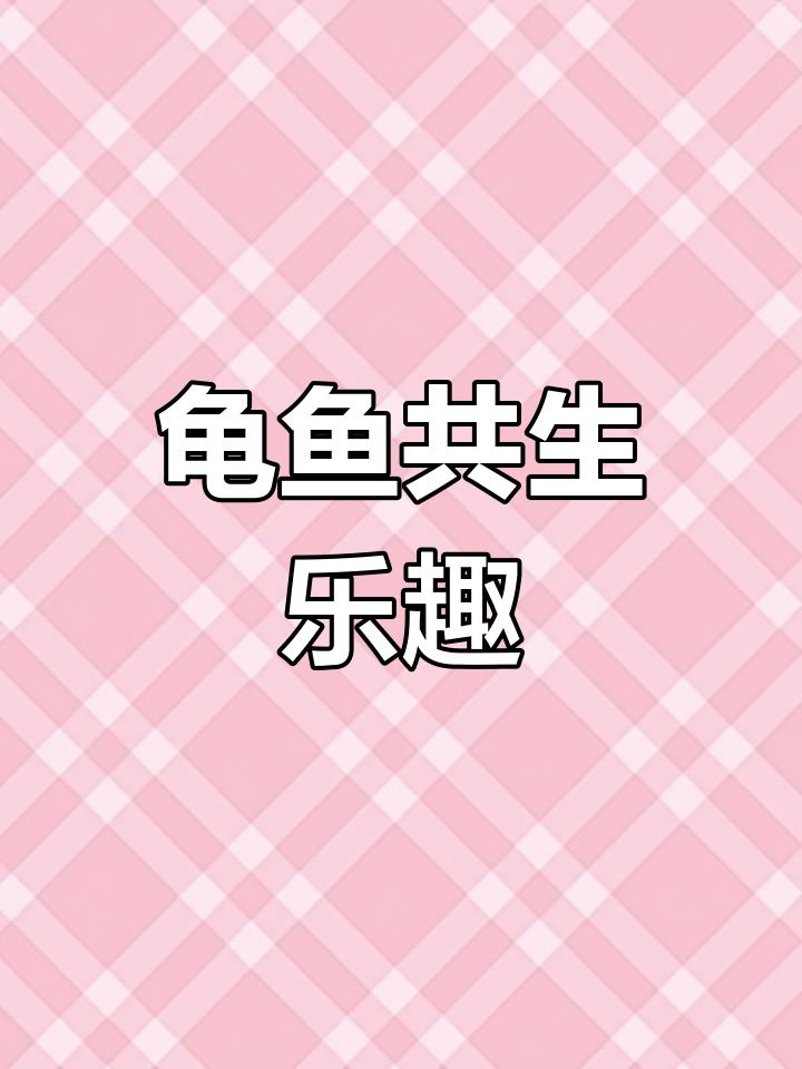 乌龟与鱼共舞,生态缸让生活更有趣!