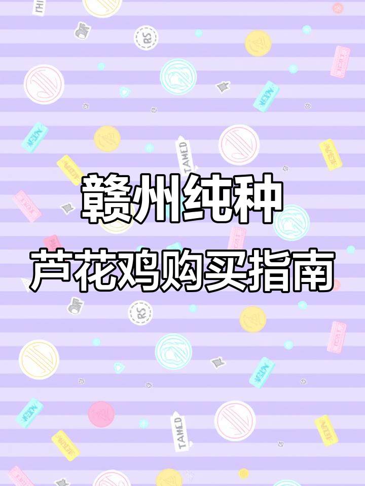 赣州市芦花鸡养殖基地推荐,呼吸道疾病防控全攻略